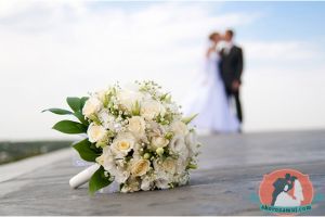 Как выбрать хорошего фотографа на свадьбу?