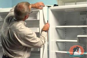 Как располагать продукты в холодильнике?