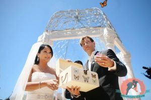 Бабочки на свадьбу - отличный подарок молодоженам