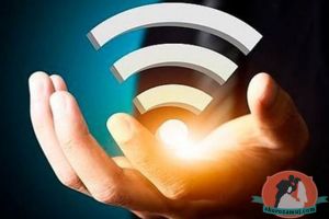 Ученые рассказали, как влияет wi-fi на человека и почему нужно отключать роутер по ночам