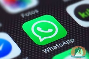 WhatsApp вводит возрастные ограничения